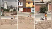 Mujer enternece al sacar a pasear a su perrito en coche: “Para que no se quemen sus patitas”