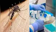 Piura: dengue avanza y aumentan fallecidos en región