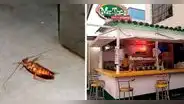 Pueblo Libre: clasuran sanguchería Mr. Taco por encontrar insectos en el local