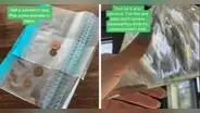 Con este truco con monedas evitarás que las moscas se aparezcan en tu casa