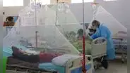 Casos de dengue en la sierra de Áncash ponen en alerta a autoridades