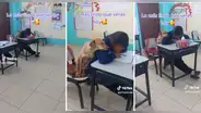 Perrita se acuesta sobre niña que escribe en su cuaderno durante clases: “Qué lindos”