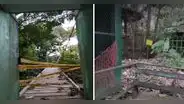 Animales están en abandono en Parque Natural de Ucayali: "Parece un cementerio"