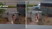Joven sigue viendo a su exnovio por el bienestar de su perrohíja: "Le trae croquetas"