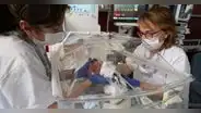 Nace el primer bebé por trasplante de útero en España: donación de la hermana lo posibilitó