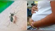 Dengue en Perú: ¿cuáles son las consecuencias en mujeres gestantes?
