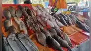Precio del pescado se incrementa ante presencia de oleajes anómalos