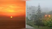El verano, inverno, otoño y primavera podrían desaparecer por este motivo, advierten expertos