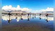 Laguna de Salinas y Aguada Blanca: ¿cómo llegar a este maravilloso espejo de agua?