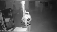 Se llevaron hasta la cerveza: cámaras captan a delincuentes robando en local de Piura