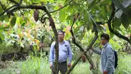 Denuncian irregularidades en proyecto de cacao en Cajamarca