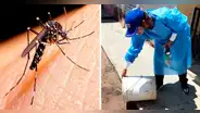 Dengue en Perú: reportan primer fallecido en Ventanilla por esta enfermedad