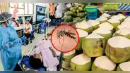 Pacientes de dengue toman agua de coco ante la falta de suero en Piura
