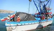 ¡Escasez y altos precios! Calentamiento del mar en la costa norte afecta producción de pescado