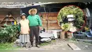 Víctor y Teófila, la pareja que lleva casi 20 años viviendo en medio de la 'nada', en Huancavelica