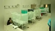 Dengue: Defensoría del Pueblo emplazó al Minsa por alta letalidad de la enfermedad