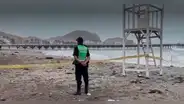Cañete: vecinos encuentran granada de guerra tipo piña en la playa de Cerro Azul