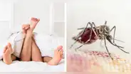 ¿El dengue se puede transmitir por relaciones sexuales?