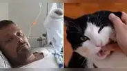 El dramático caso de Henrik: ¿cómo la mordedura de su gato le quitó la vida tras 4 años?