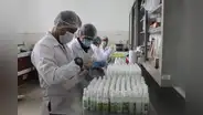 ¿Qué es el NanoBio Repel creado por universitarios de Trujillo para evitar el contagio del dengue?