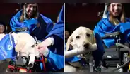 Perro guía se graduó junto con su dueña con discapacidad y recibió diploma por asistir a clases