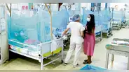 Piura: colapsan hospitales por dengue y van más de 30.000 contagios