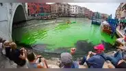 Conmoción por agua verde fosforescente en el Gran Canal de Venecia: ¿qué sucedió?