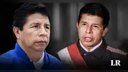 Pedro Castillo: ¿realmente una acción de amparo puede anular su vacancia presidencial?