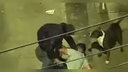 VES: capturan a delincuente que entrenó a su perro para asaltar a transeúntes