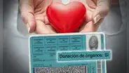 ¿Donarías tus órganos? Aunque no tengas la opción marcada en el DNI, estos podrán ser utilizados