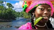 Así es el único país de Sudamérica donde se habla neerlandés y cuyo territorio es 80% selva tropical