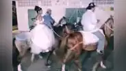 ¡Inolvidable! Celebra su quinceañero paseando en potro y sorprende a ciudadanos en Tumbes