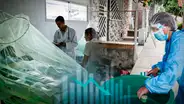 Dengue en Perú: Minsa registra 114.746 personas contagiadas con la enfermedad