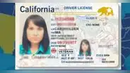 Requisitos y pasos para obtener una licencia de manejo en EE. UU.