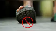 ¿Por qué nunca debes pisar a una cucaracha? Los motivos te sorprenderán