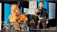 Mariachi crea versión canina de canción "Amigo" y la dedica a perrito asesinado Scooby