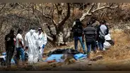 Trágico hallazgo en México: descubren 45 bolsas con restos humanos en Guadalajara