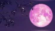 Luna de Fresa 2023: ¿cómo afectará a los 12 signos del zodiaco?