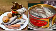 ¿Qué es el Surströmming, la comida preferida de los suecos que huele como a pescado podrido?