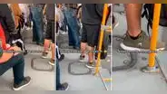Joven utiliza singulares zapatillas en micro y lo trolean: “Simplemente Perú”