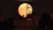 Luna llena de junio 2023, la luna de fresa: cuándo es, a qué hora y por qué se llama así
