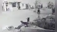 Madre denuncia que su hija de 7 años, atacada por dos perros, no recibió ayuda en Trujillo