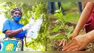 Día del Medio Ambiente: ¿por qué se celebra este 5 de junio y cuál es su origen?