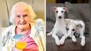 Mujer comparte su polémico consejo para llegar a los 108 años: “Tener perros en lugar de hijos”