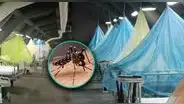 ¡Situación crítica en Piura! Hospital en Sullana atiende hasta a 2 niños con dengue en una sola cama