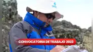 LINK para ver resultados de convocatoria: Senace ofreció empleo con sueldos desde S/9.000