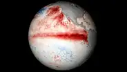 Inicia el fenómeno El Niño a nivel global: qué consecuencias tendrá para nuestro planeta