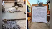 Bellavista: sancionan a vecina con más de 2.000 soles por tener dos mascotas en malas condiciones