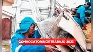 ¿Tienes primaria completa? Municipalidad de San Miguel ofrece empleos con sueldos de hasta S/2.000