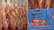 Ate: mataban 50 caballos al día para venderlos como carne de res en mercados La Parada y Caquetá
